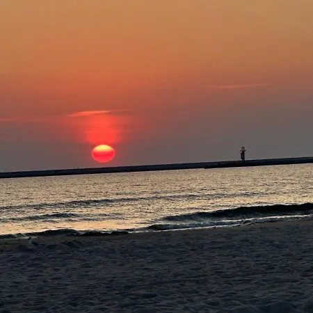 Julia - Visitopl * Свиноуйсьце