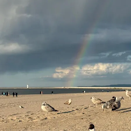 Апартаменты Julia - Visitopl *