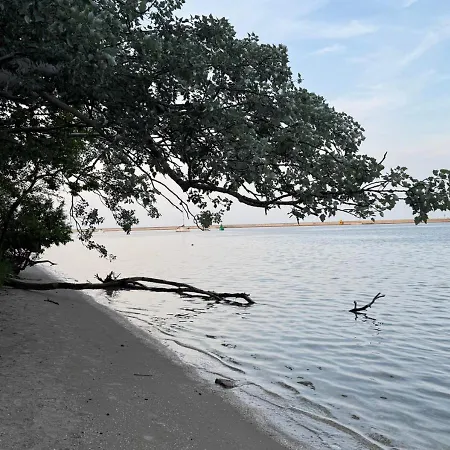 Julia - Visitopl * Свиноуйсьце