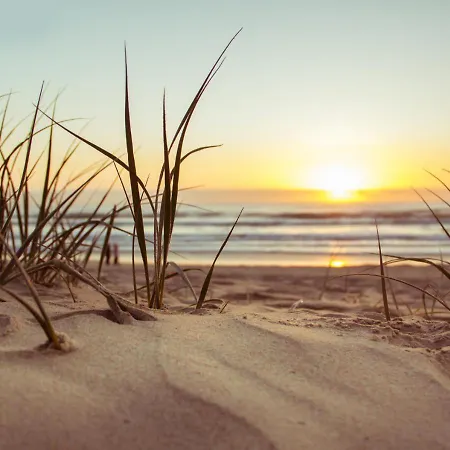 Julia - Visitopl * Свиноуйсьце